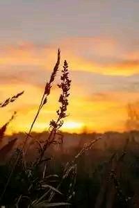 开云体育入口平台-法国联赛球队士气高昂备战决赛