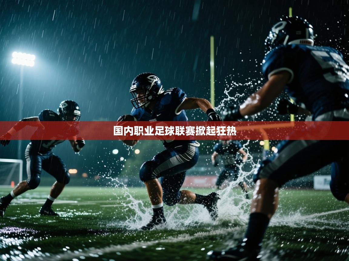 开云·体育app中国官方网站-国内职业足球联赛掀起狂热 第1张