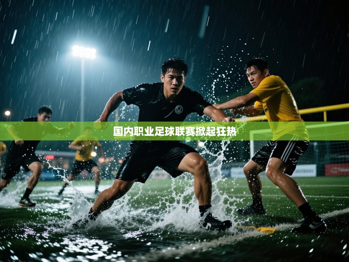 开云·体育app中国官方网站-国内职业足球联赛掀起狂热 第2张