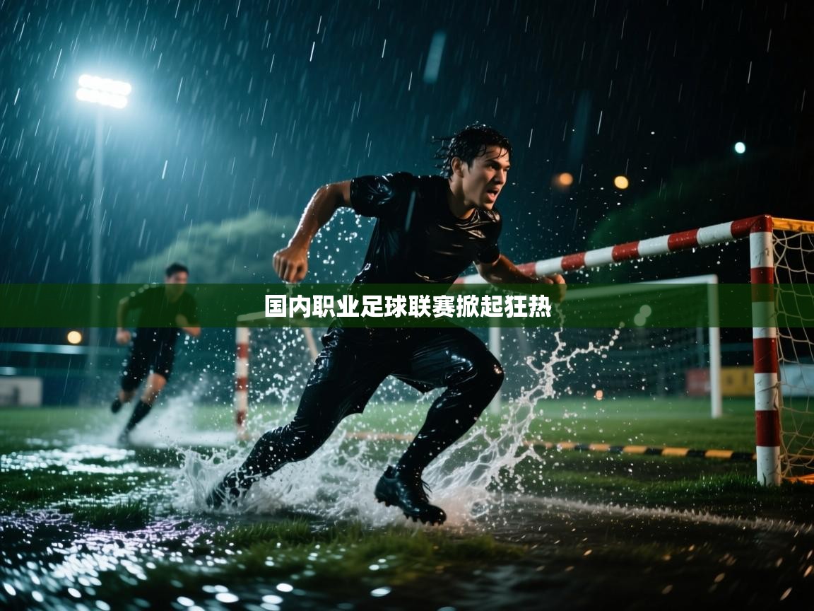 开云·体育app中国官方网站-国内职业足球联赛掀起狂热 第3张