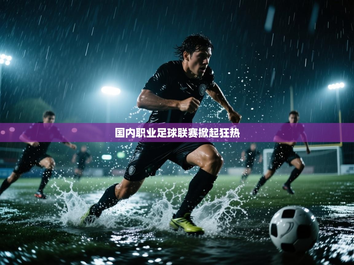 开云·体育app中国官方网站-国内职业足球联赛掀起狂热 第4张